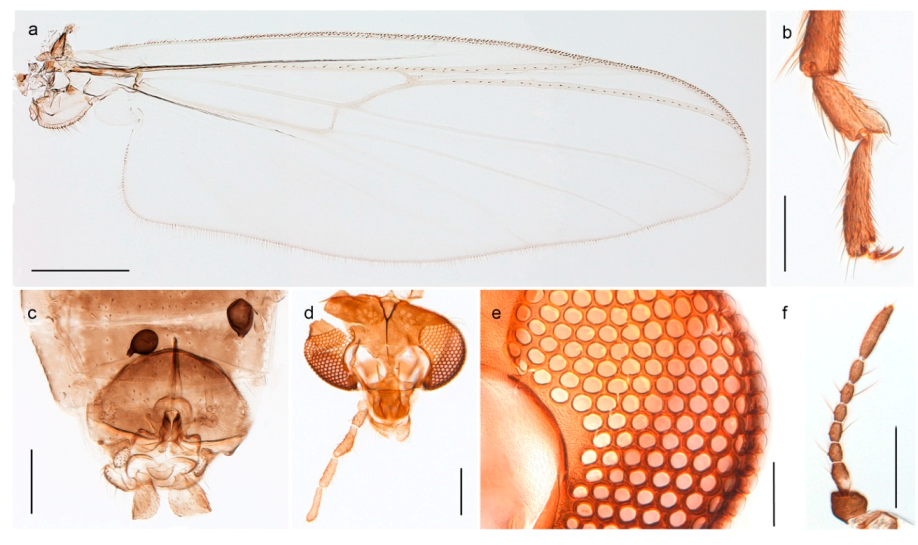 Insects 11 00183 g010