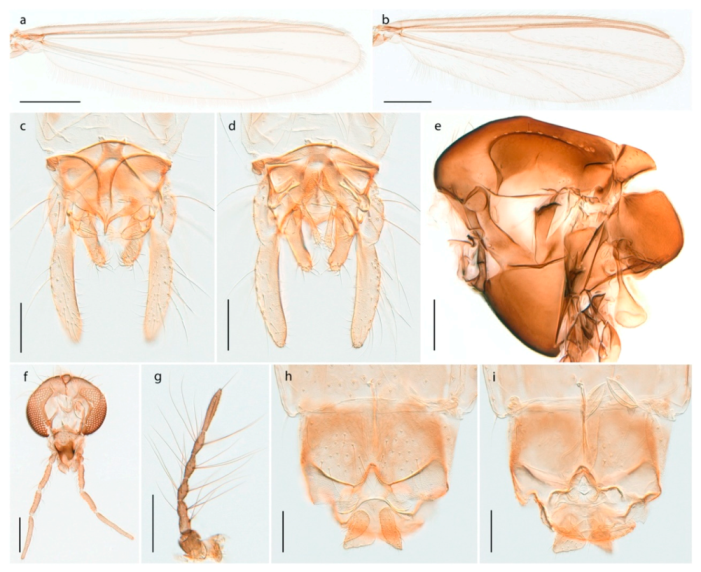 Insects 11 00183 g011