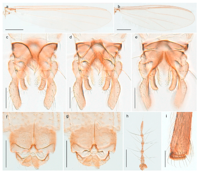 Insects 11 00183 g012