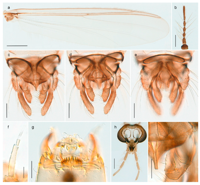 Insects 11 00183 g013