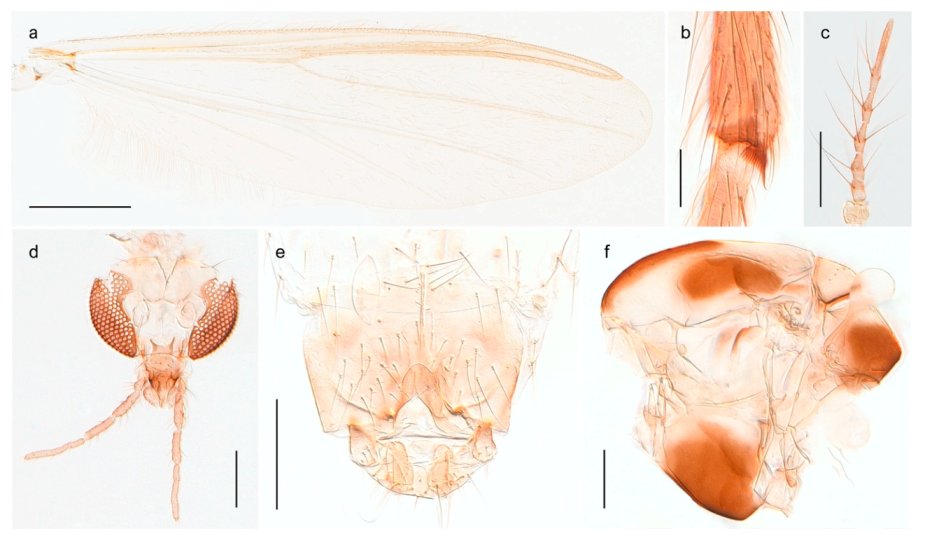 Insects 11 00183 g015