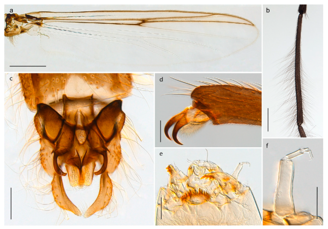 Insects 11 00183 g016