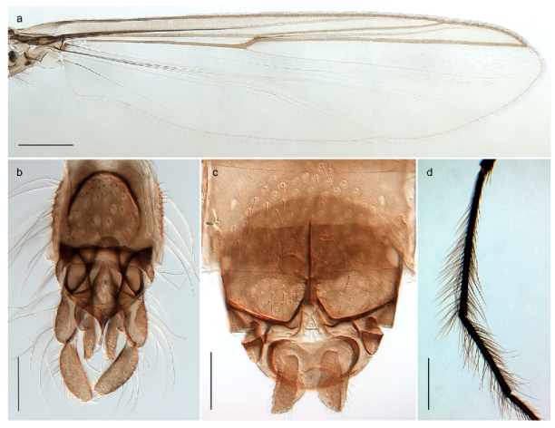 Insects 11 00183 g019