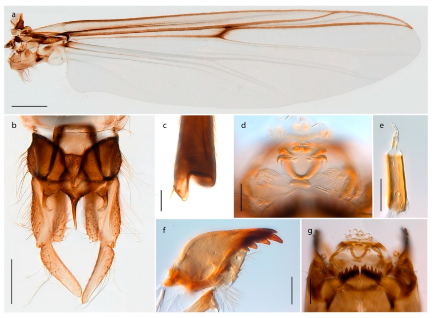 Insects 11 00183 g020