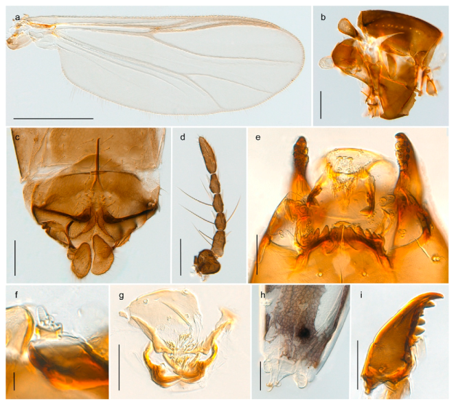 Insects 11 00183 g021