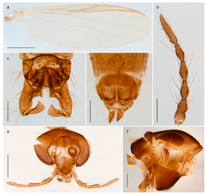 Insects 11 00183 g022