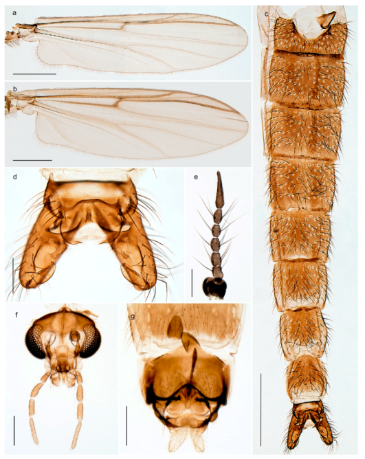 Insects 11 00183 g027