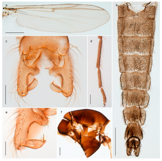 Insects 11 00183 g028