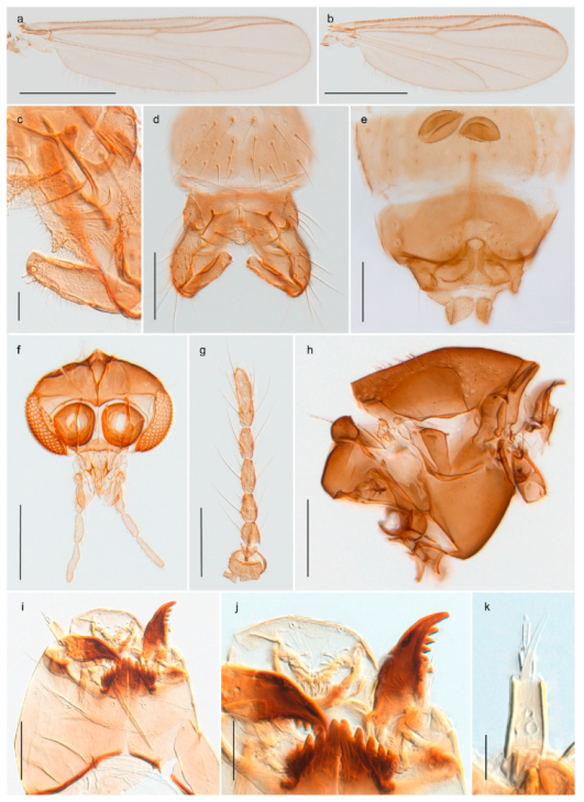 Insects 11 00183 g035