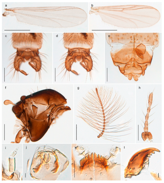 Insects 11 00183 g037