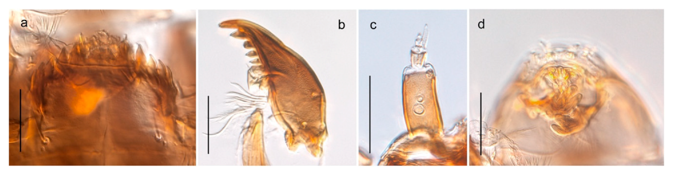 Insects 11 00183 g044