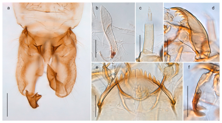 Insects 11 00183 g045