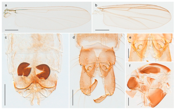 Insects 11 00183 g047