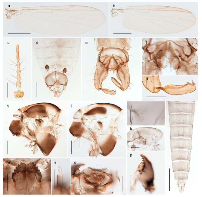 Insects 11 00183 g048