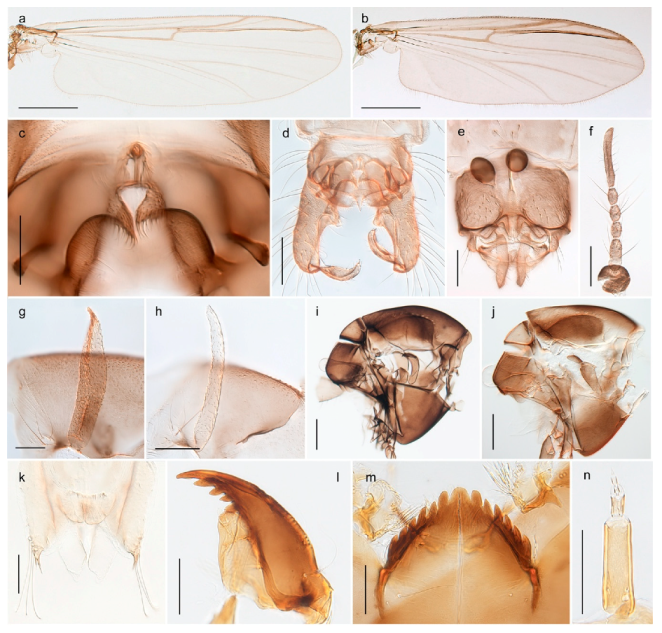 Insects 11 00183 g049