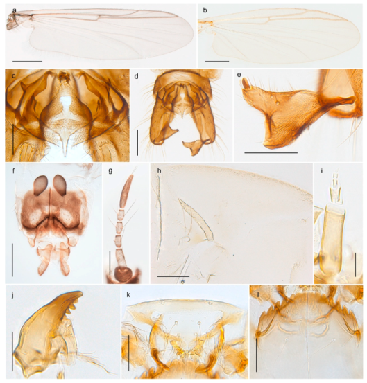 Insects 11 00183 g051