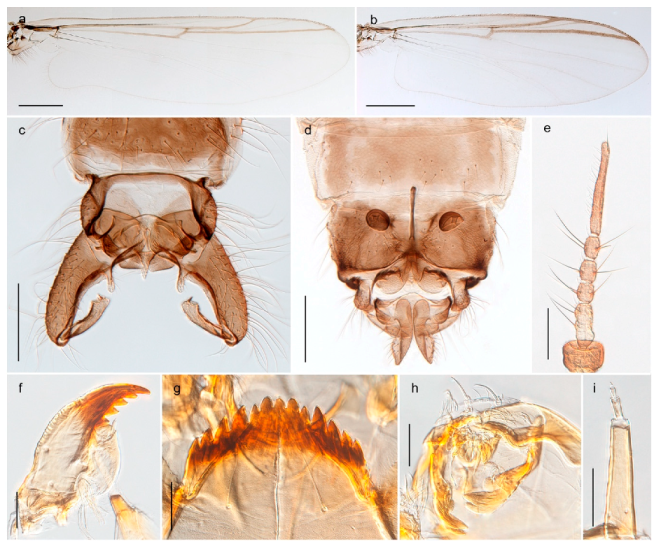 Insects 11 00183 g052
