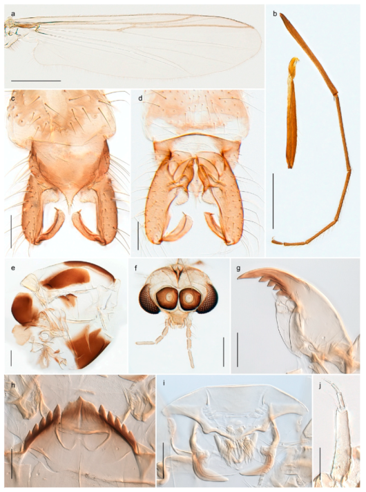 Insects 11 00183 g054