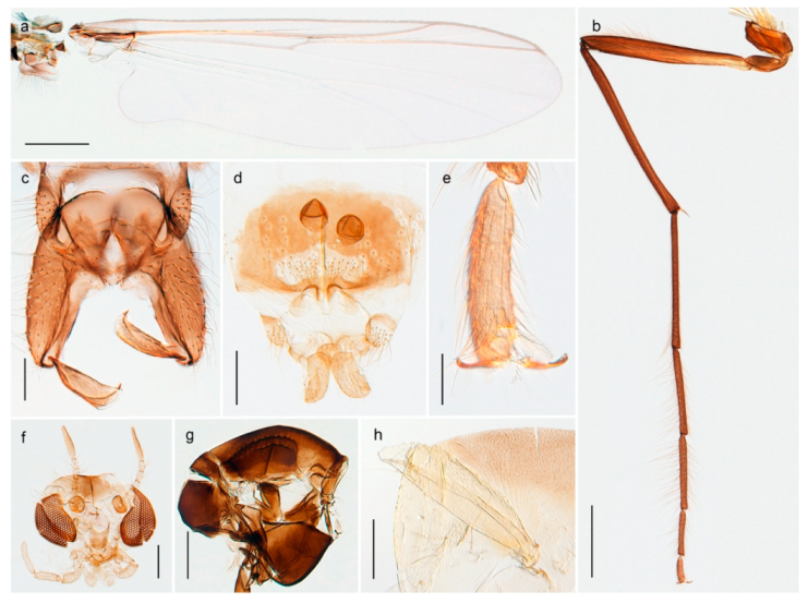 Insects 11 00183 g055