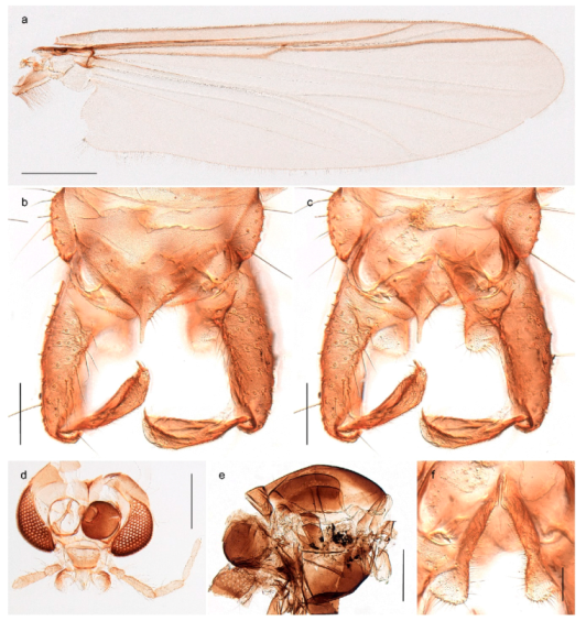 Insects 11 00183 g056