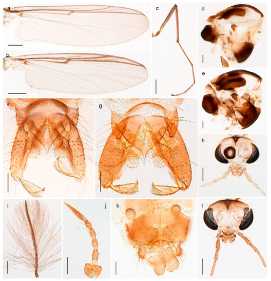 Insects 11 00183 g057