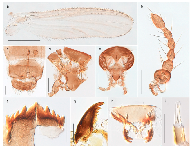 Insects 11 00183 g059