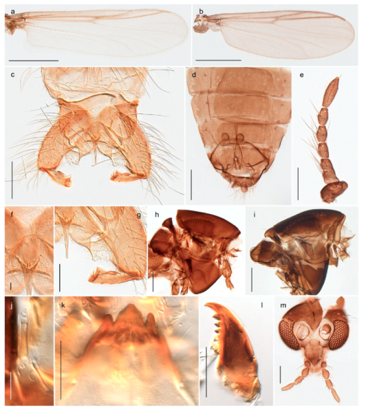 Insects 11 00183 g060