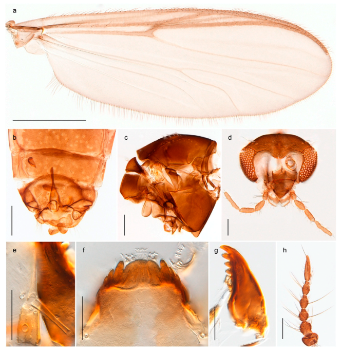 Insects 11 00183 g065