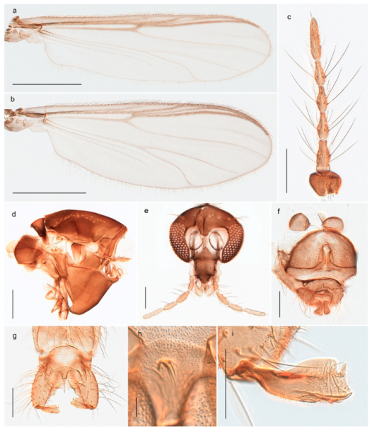 Insects 11 00183 g067