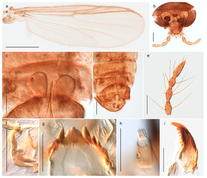 Insects 11 00183 g070