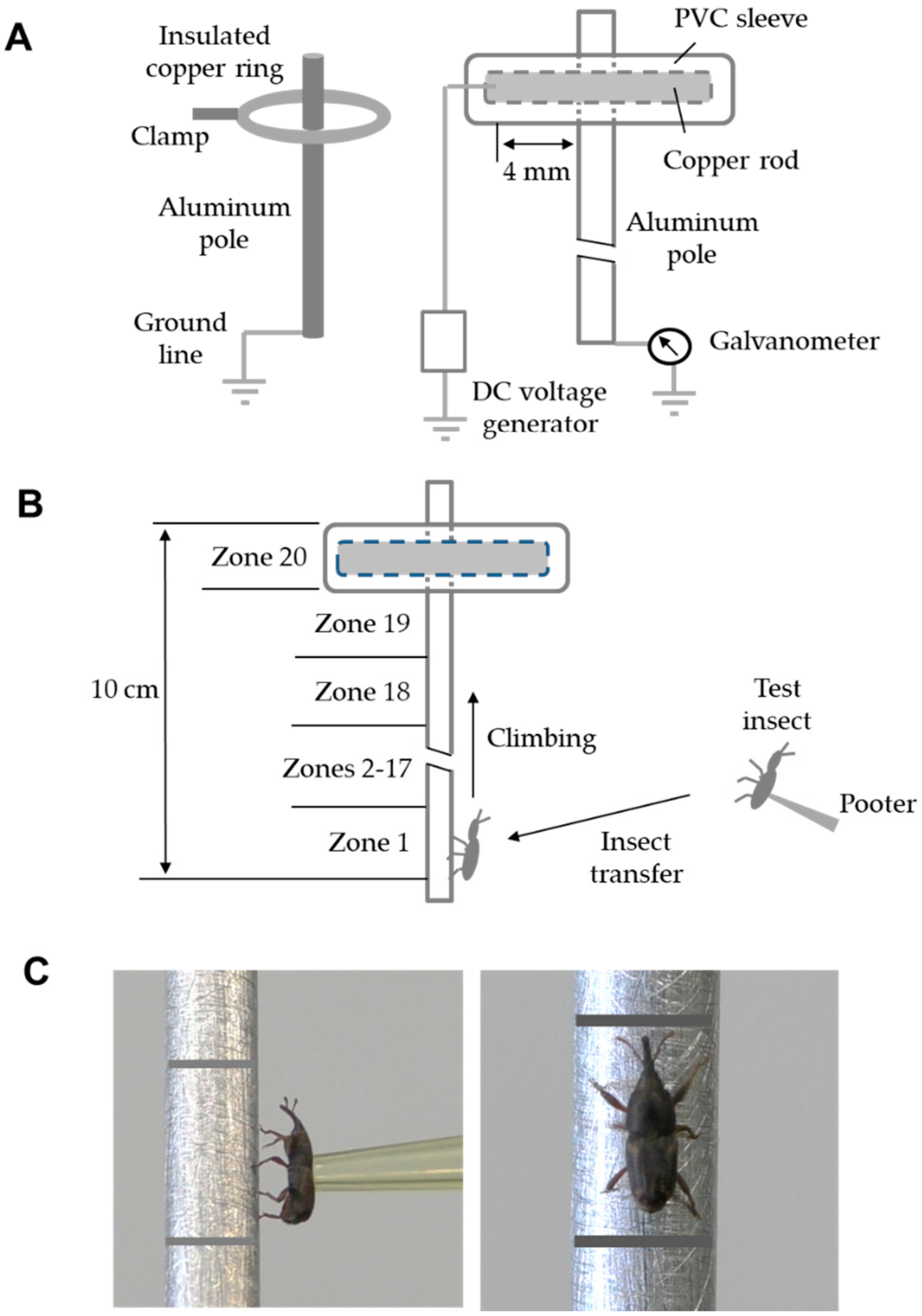Insects 11 00187 g002