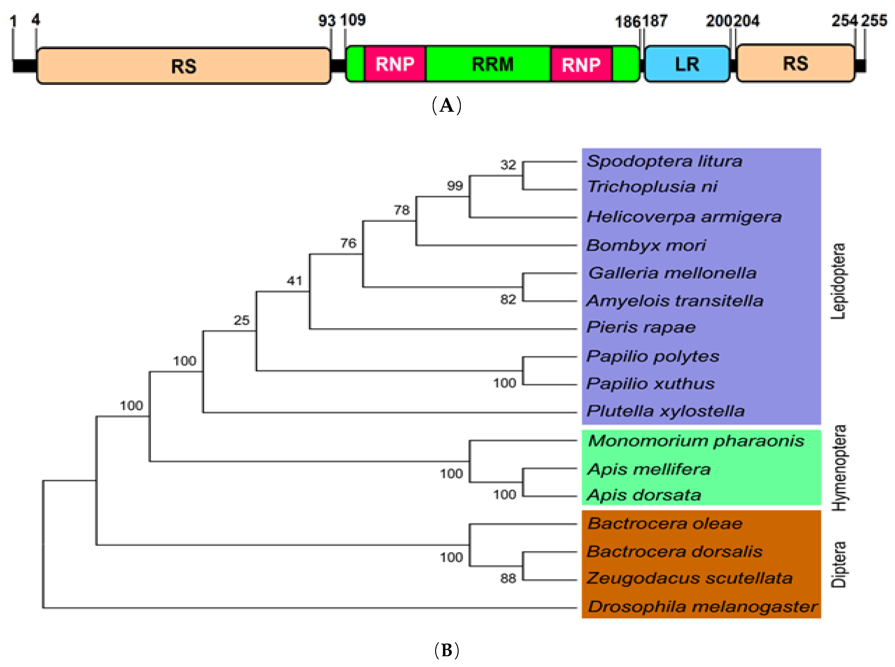 Insects 11 00211 g001 Insects 11 00211 g001