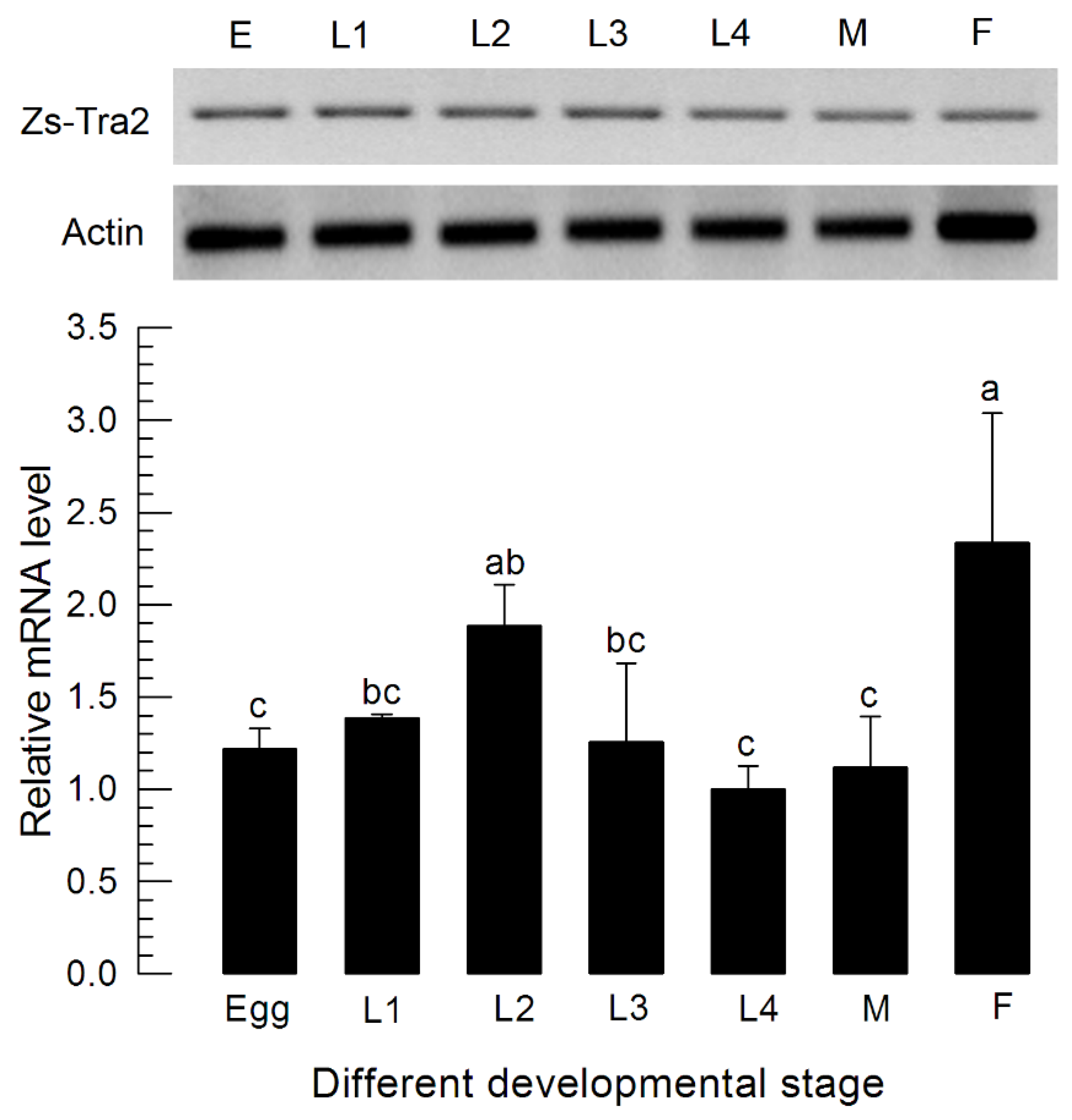Insects 11 00211 g002 Insects 11 00211 g002