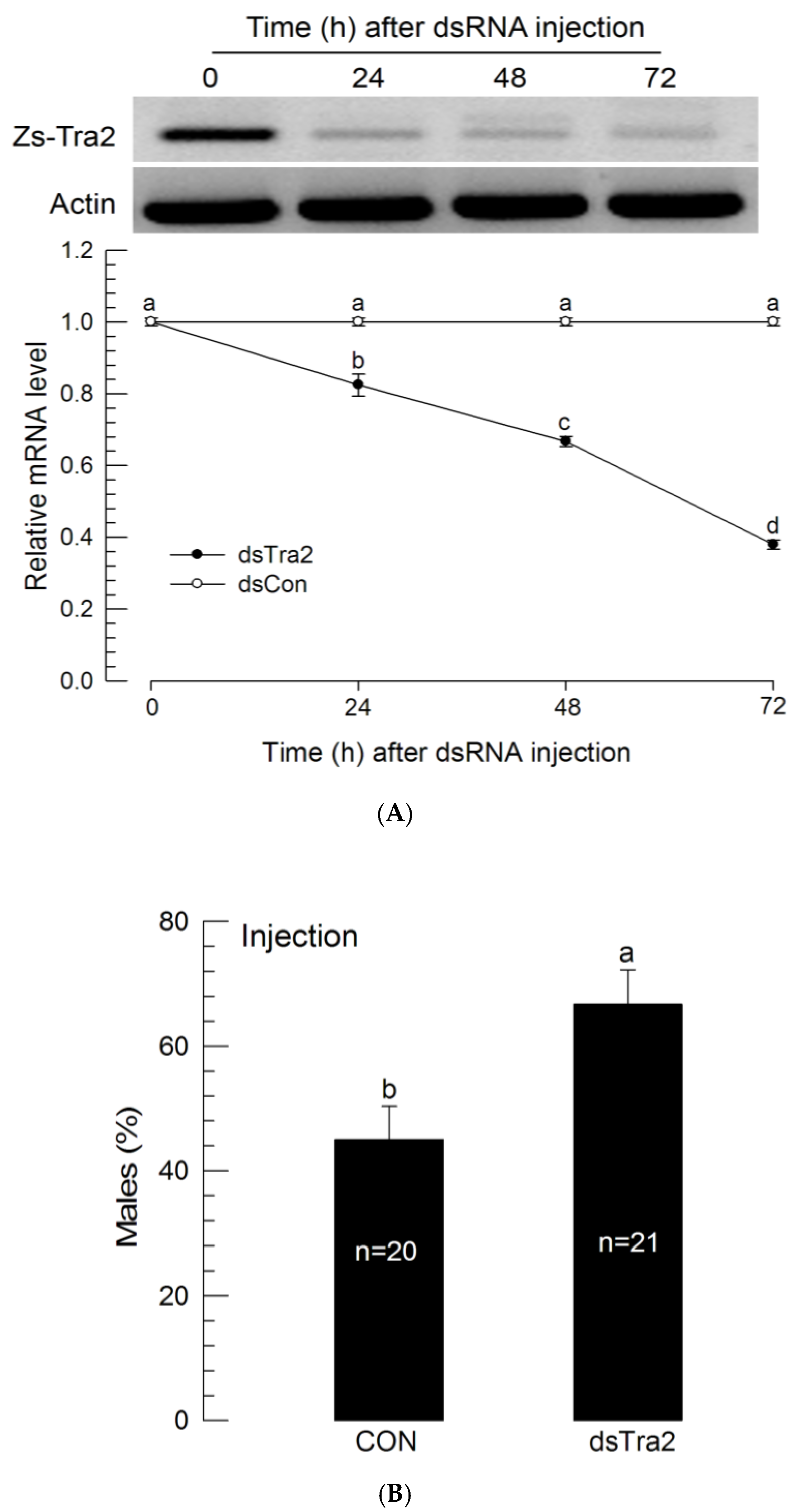 Insects 11 00211 g003 Insects 11 00211 g003