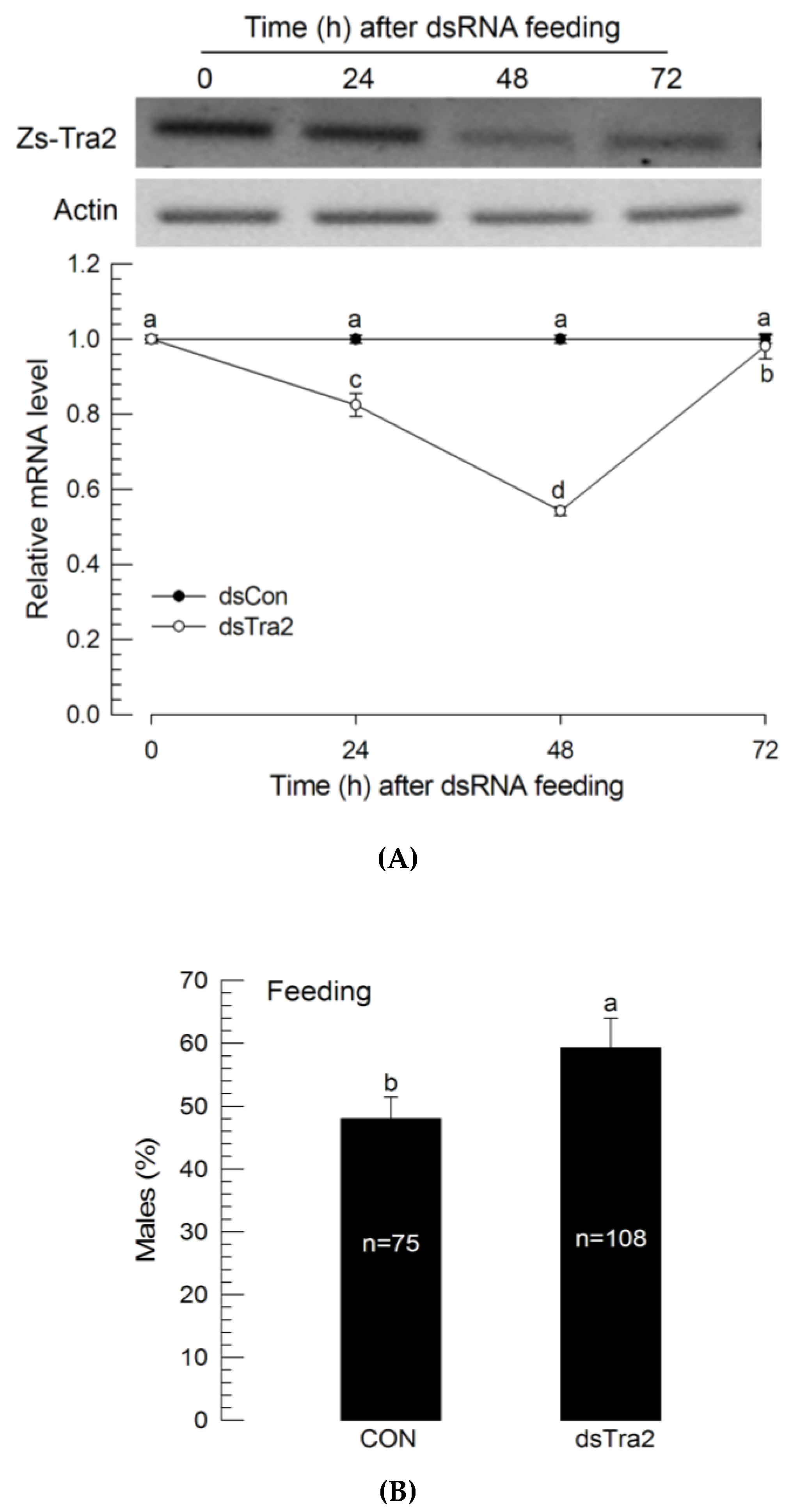 Insects 11 00211 g004 Insects 11 00211 g004