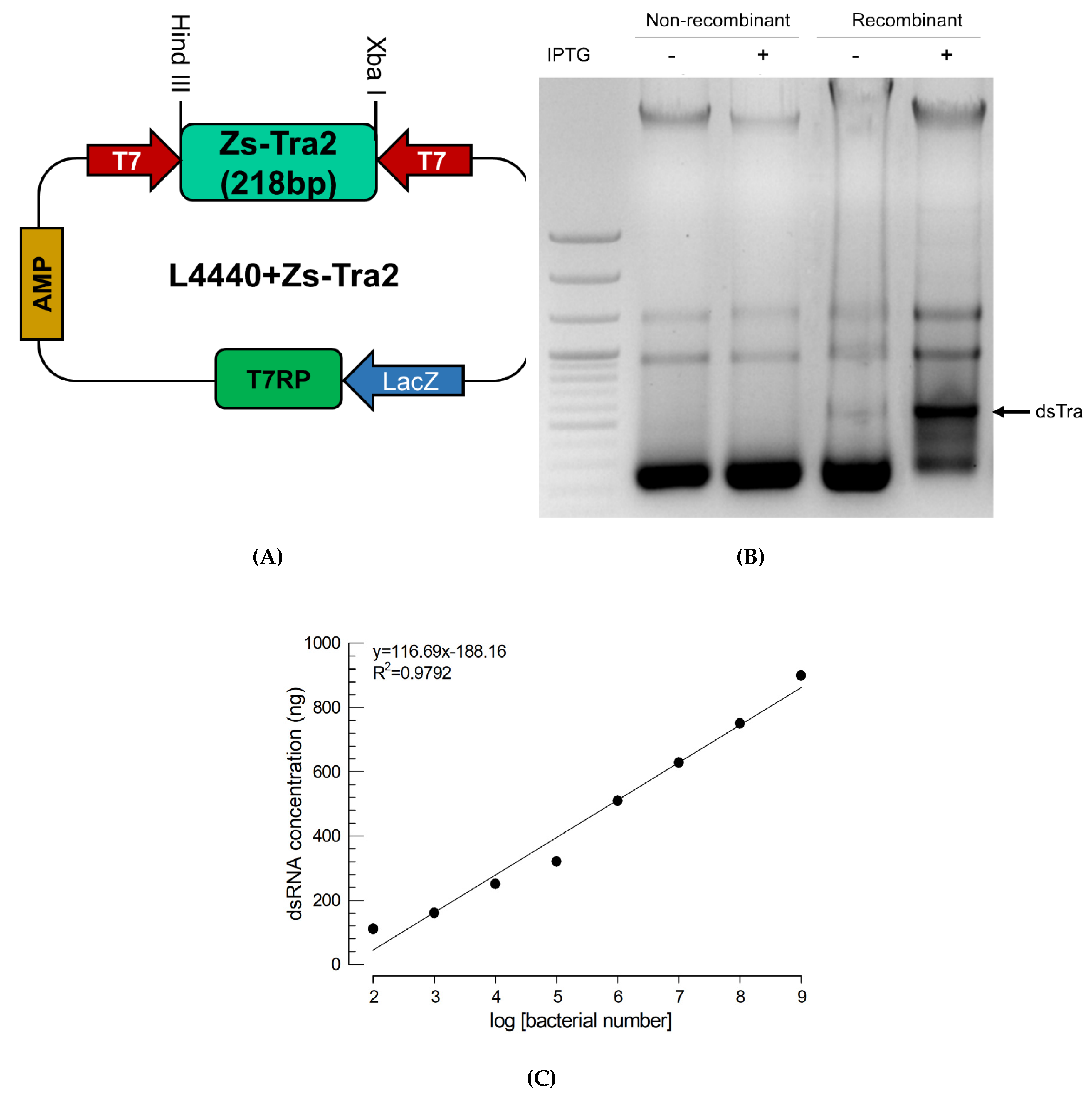 Insects 11 00211 g005 Insects 11 00211 g005