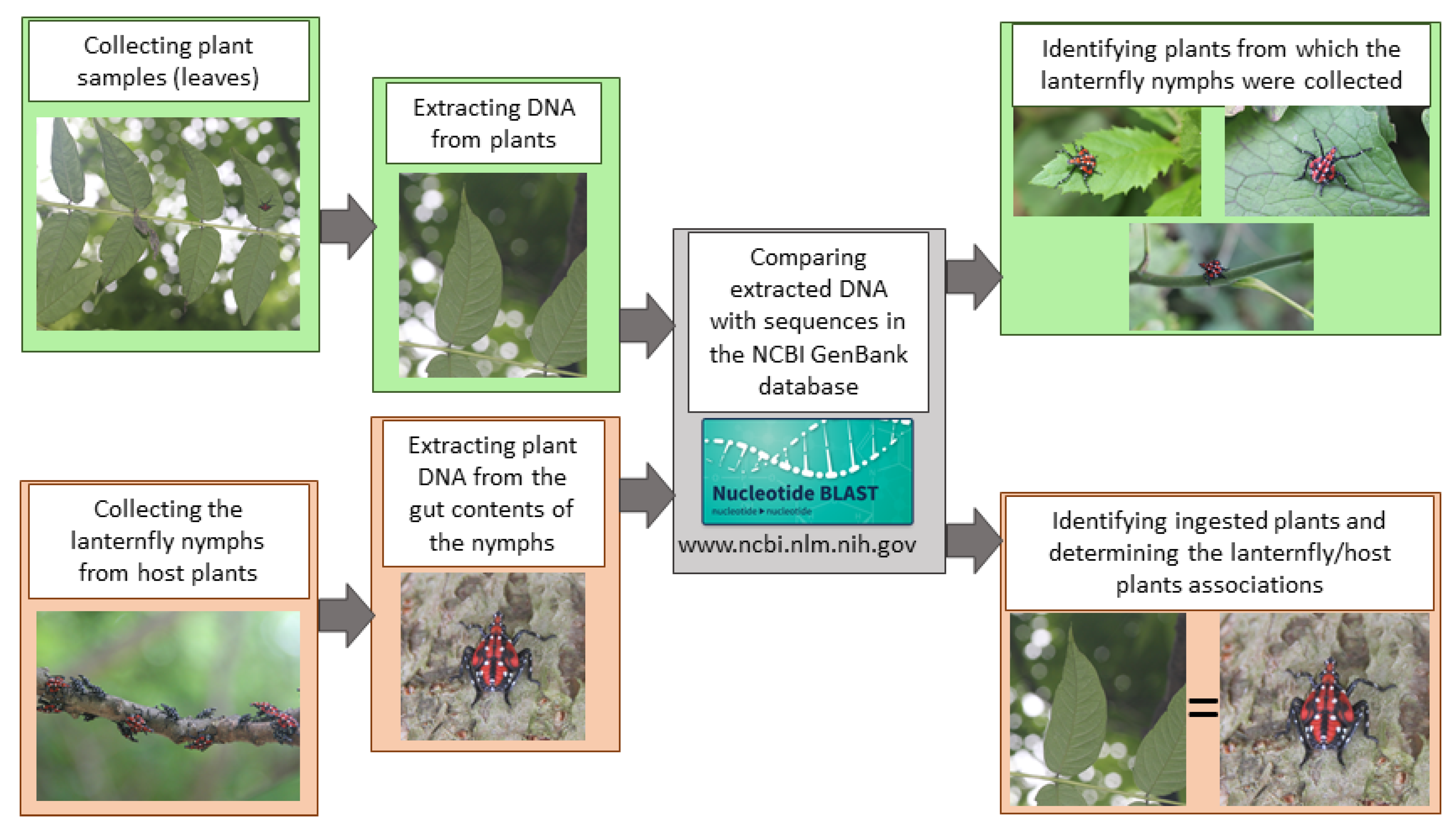 Insects 11 00215 g002 Insects 11 00215 g002