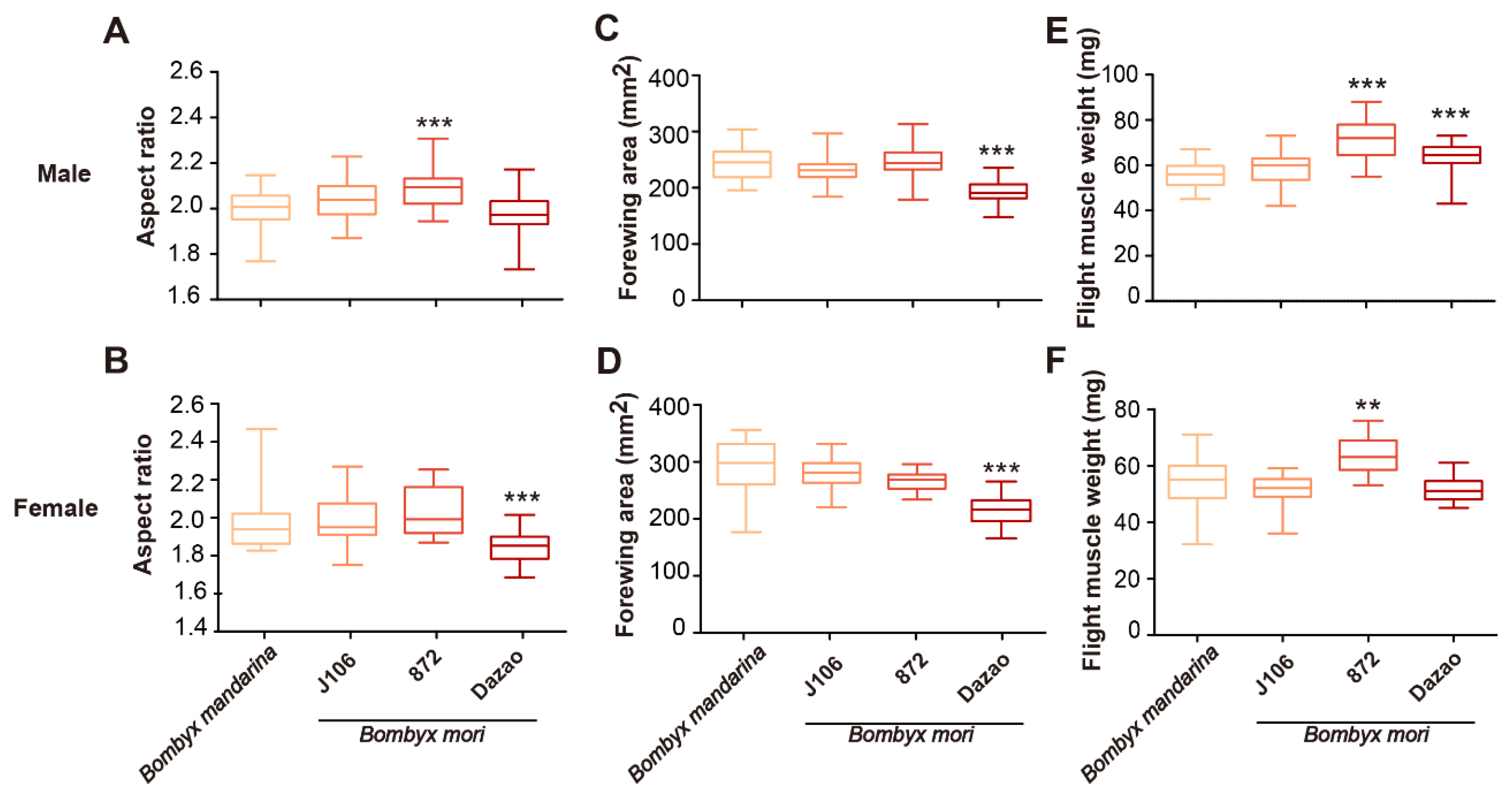 Insects 11 00220 g003