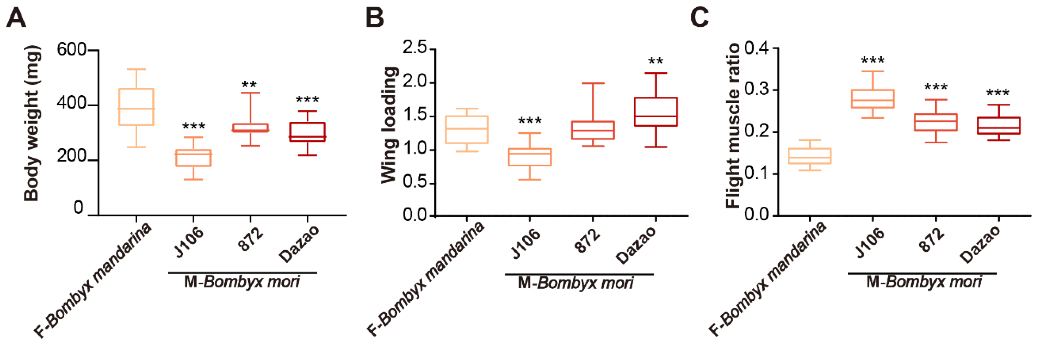 Insects 11 00220 g004