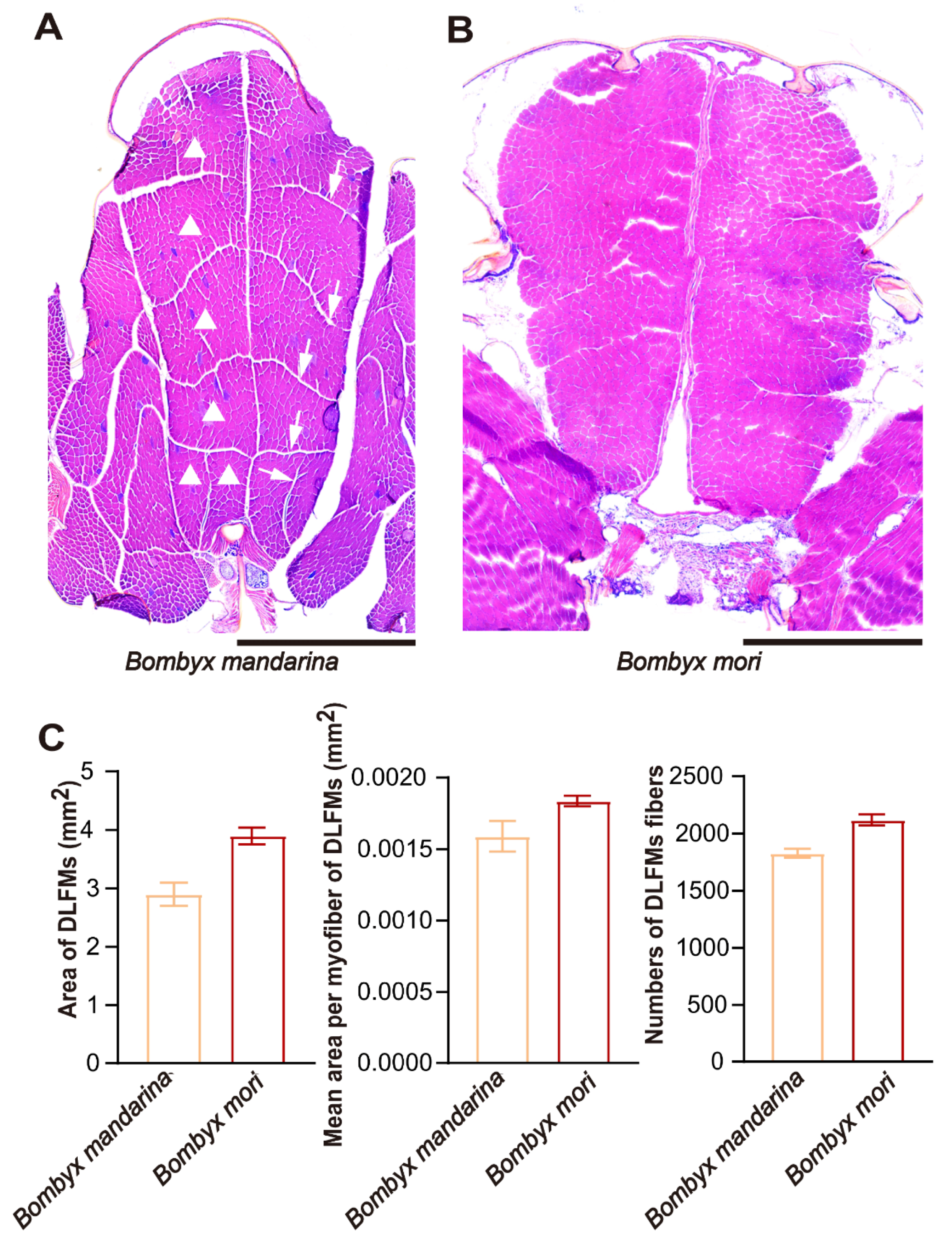 Insects 11 00220 g006