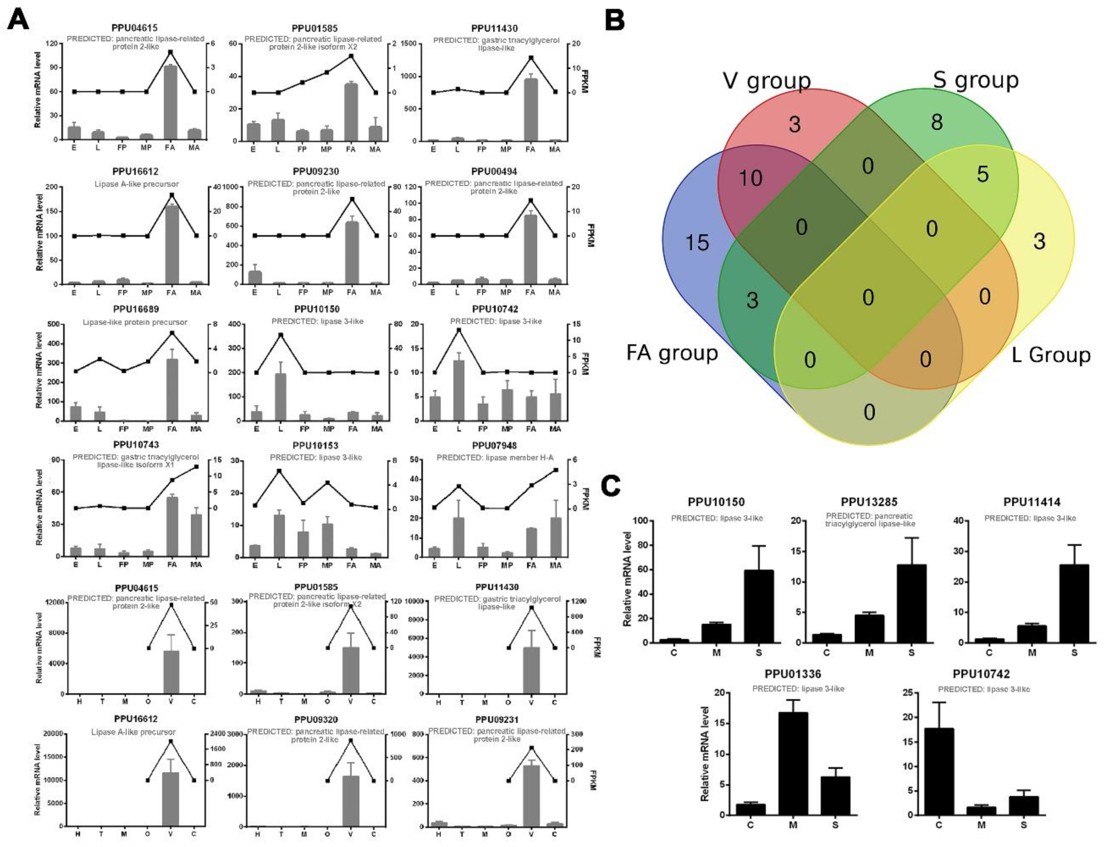 Insects 11 00227 g002