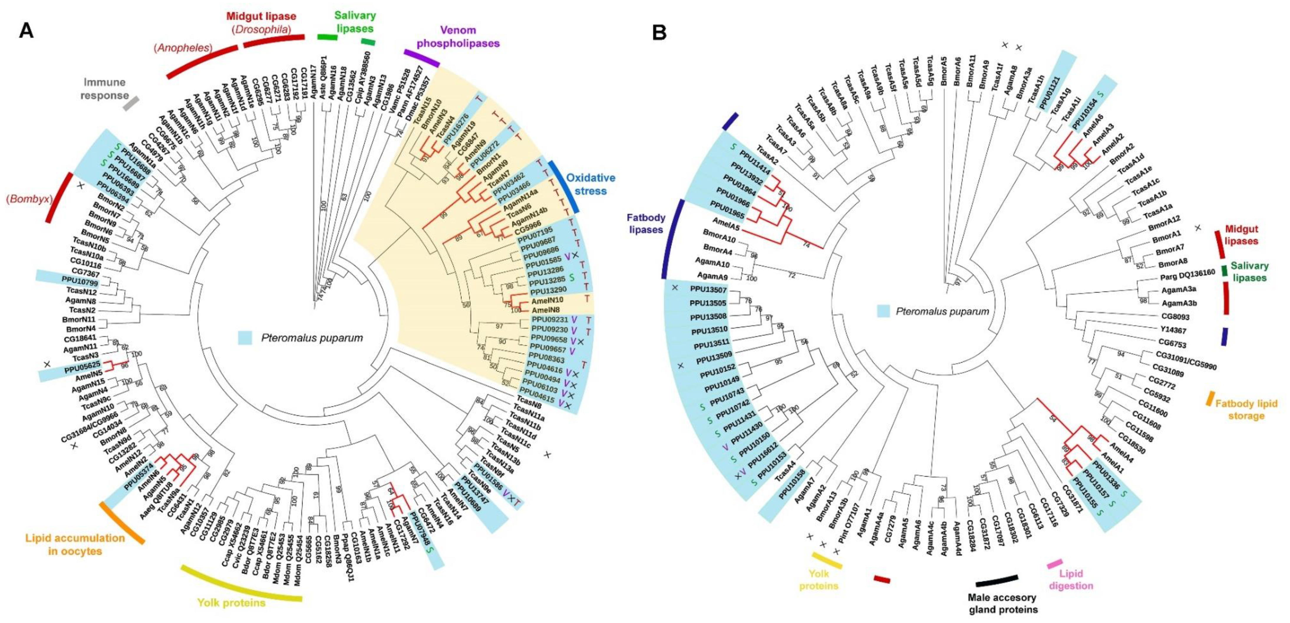 Insects 11 00227 g004