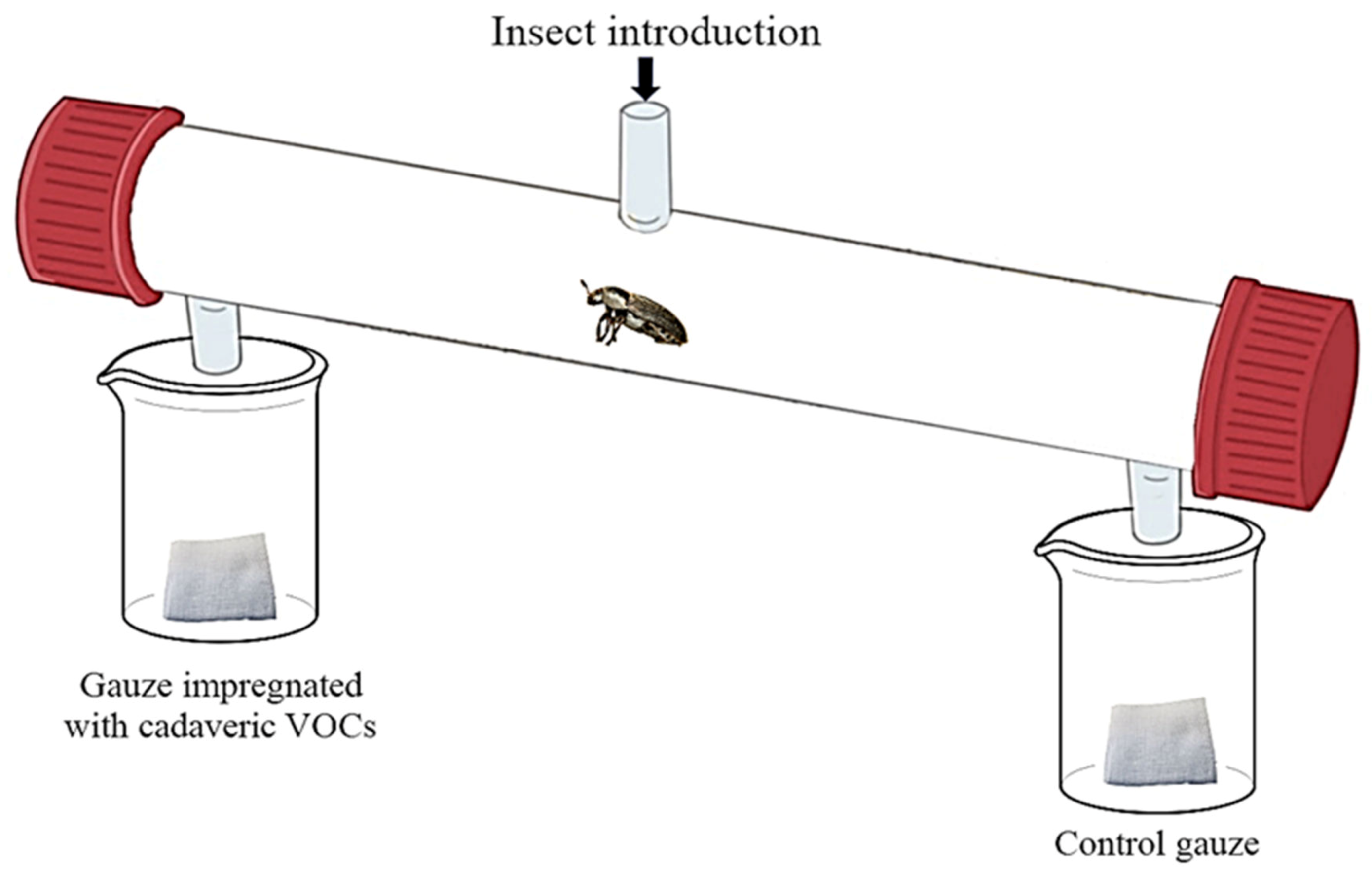 Insects 11 00238 g001