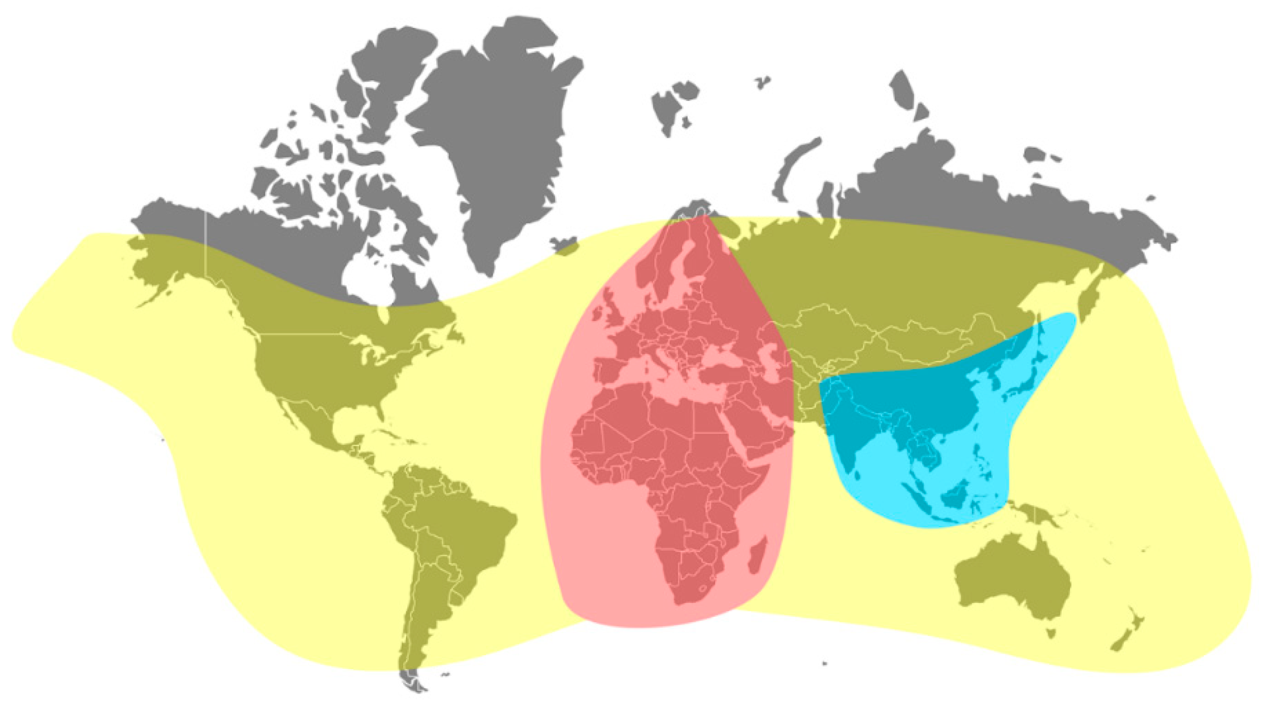 Insects 11 00239 g001