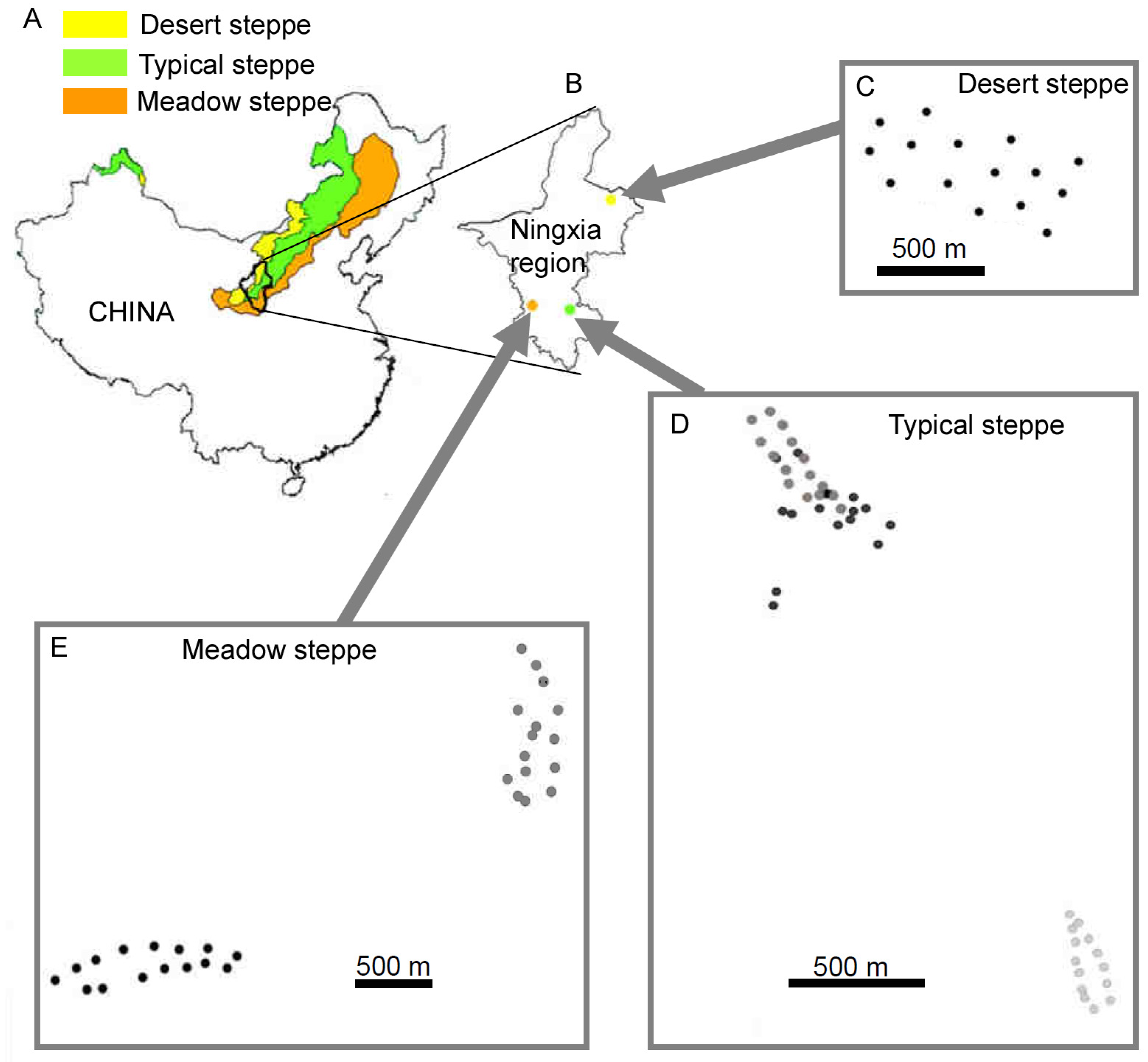 Insects 11 00249 g001