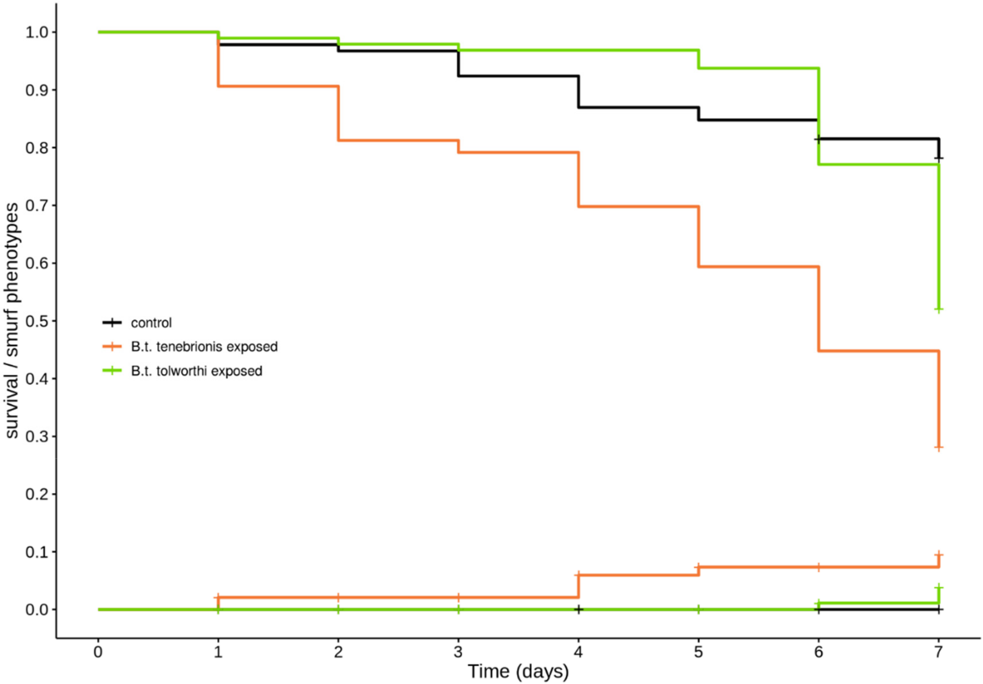 Insects 11 00261 g005