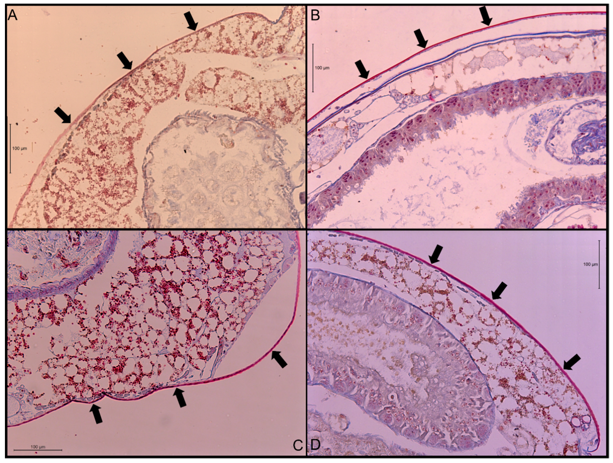 Insects 11 00262 g001 Insects 11 00262 g001