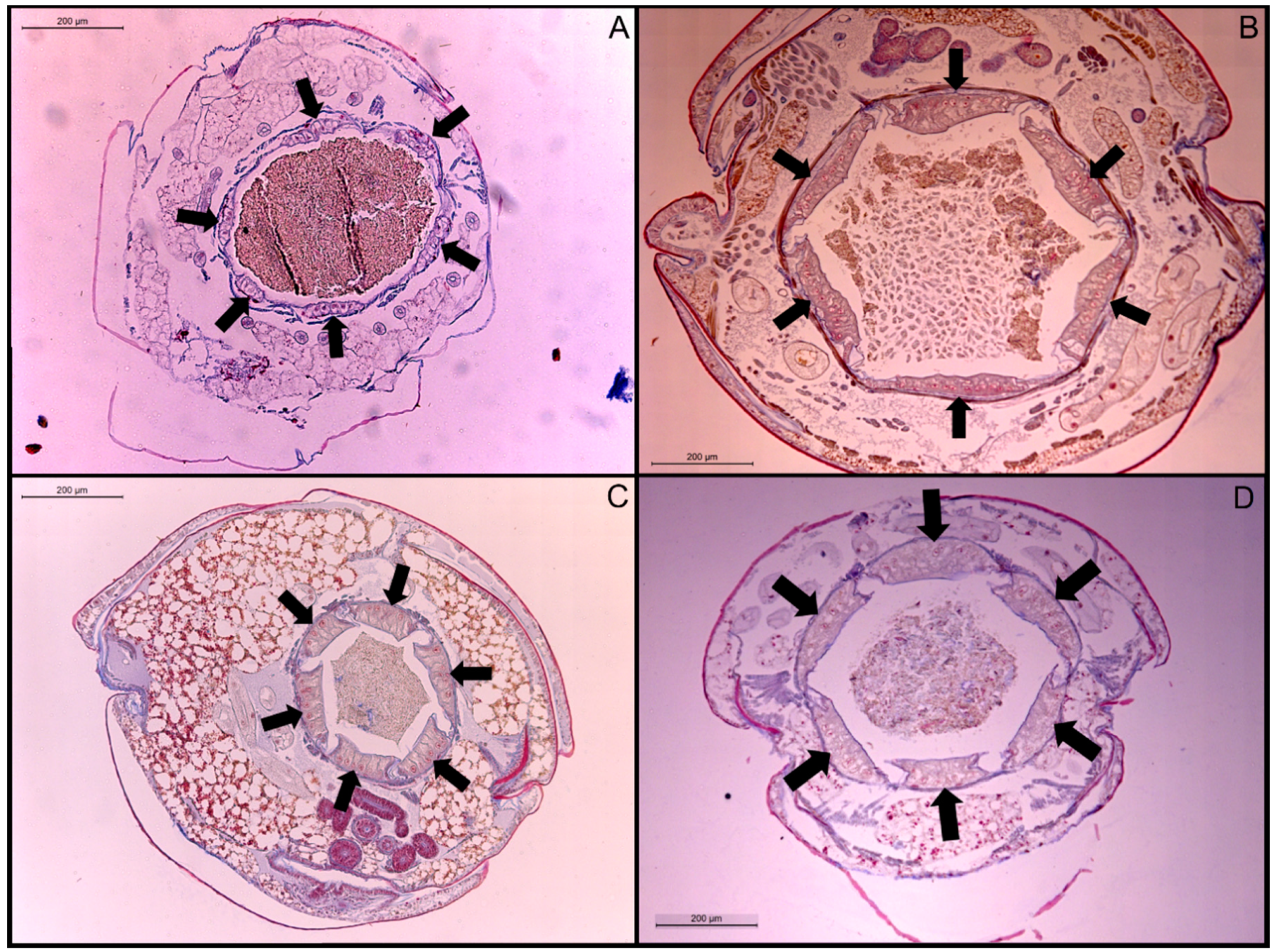 Insects 11 00262 g002 Insects 11 00262 g002