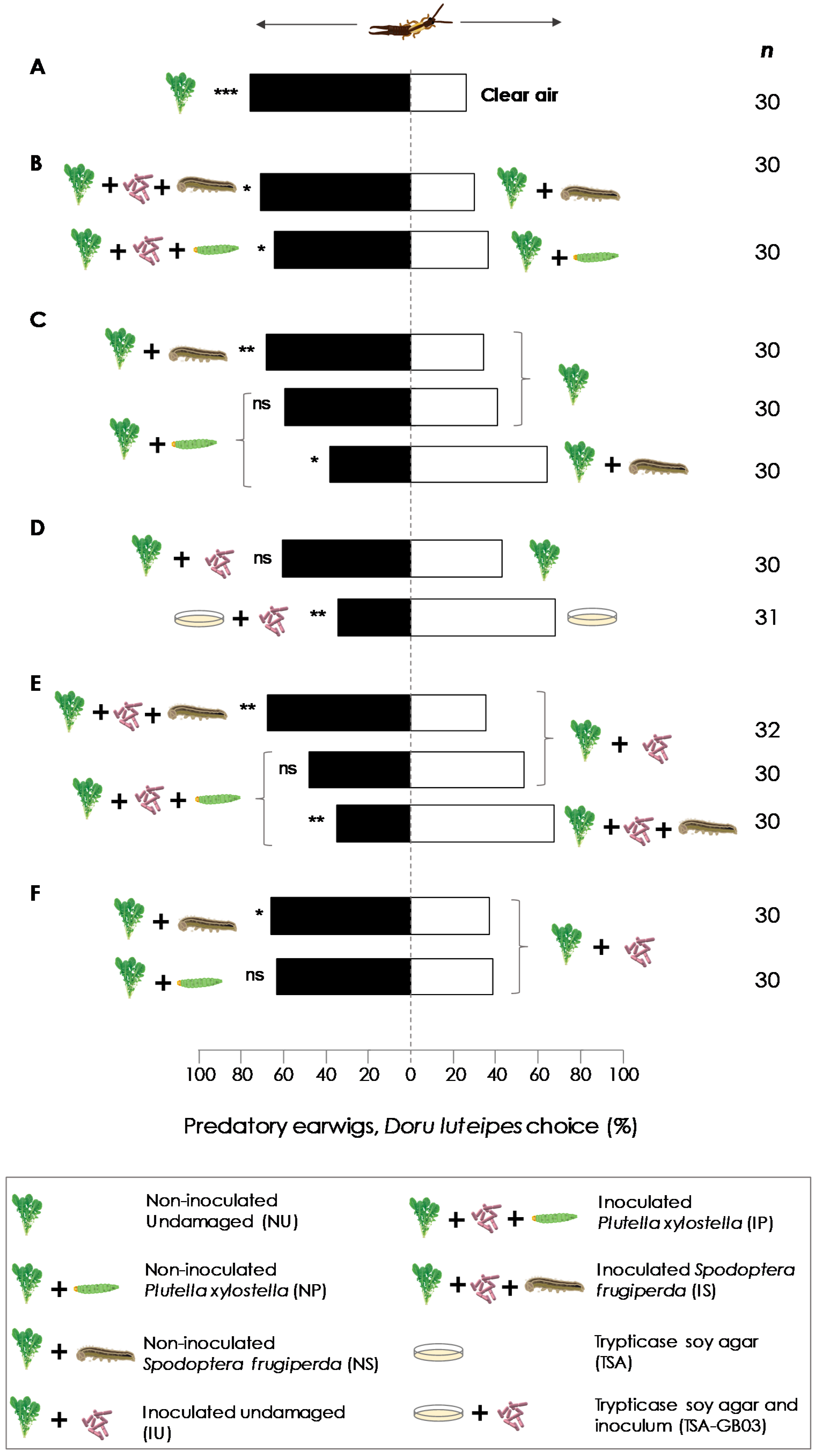 Insects 11 00271 g002