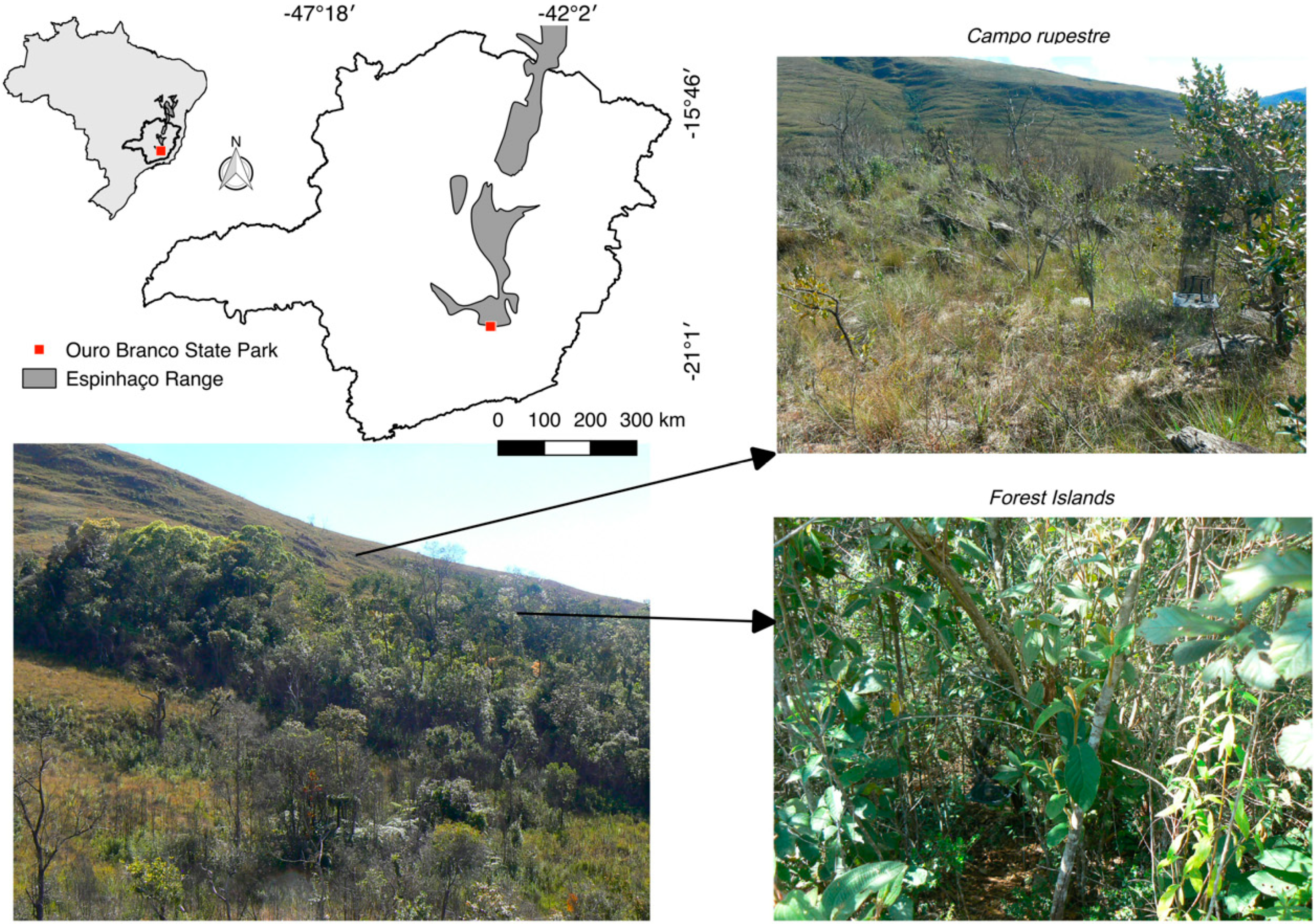 Insects 11 00278 g001